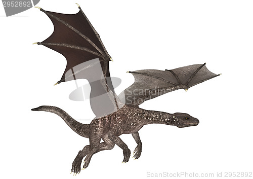 Image of Fantasy Dragon