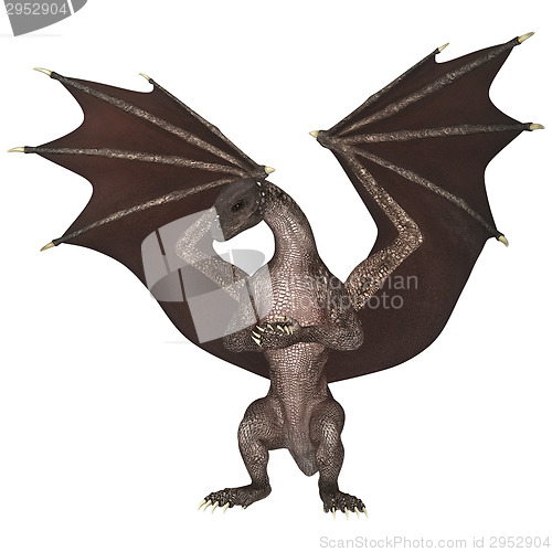 Image of Fantasy Dragon on White