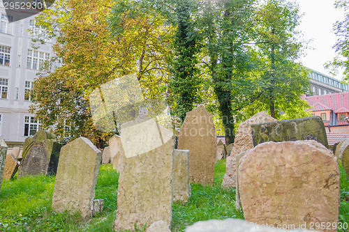 Image of Old Jewish Cemetery in Prague