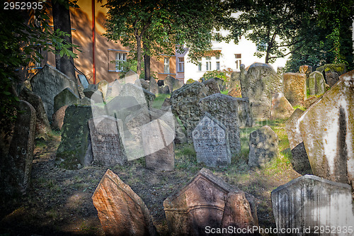 Image of Old Jewish Cemetery in Prague