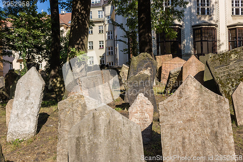 Image of Old Jewish Cemetery in Prague