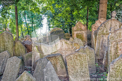 Image of Old Jewish Cemetery in Prague