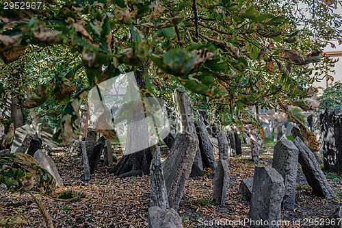 Image of Old Jewish Cemetery in Prague