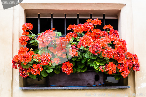 Image of Architecture of Prague