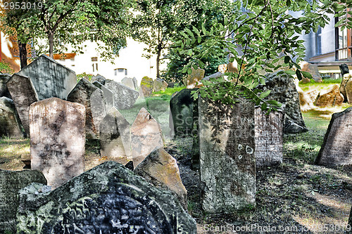 Image of Old Jewish Cemetery in Prague