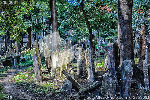 Image of Old Jewish Cemetery in Prague