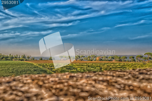 Image of Weeds on green view