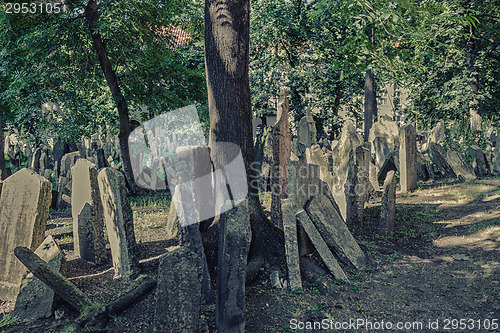 Image of Old Jewish Cemetery in Prague