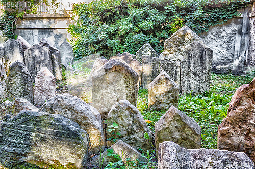 Image of Old Jewish Cemetery in Prague