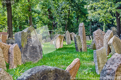 Image of Old Jewish Cemetery in Prague