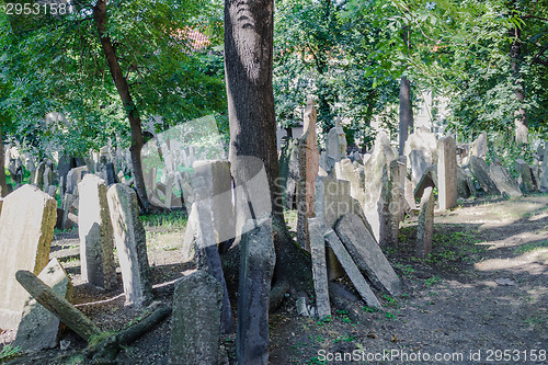 Image of Old Jewish Cemetery in Prague