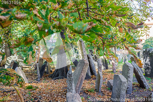 Image of Old Jewish Cemetery in Prague