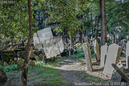 Image of Old Jewish Cemetery in Prague