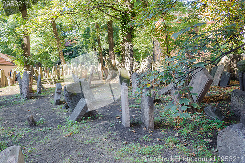 Image of Old Jewish Cemetery in Prague