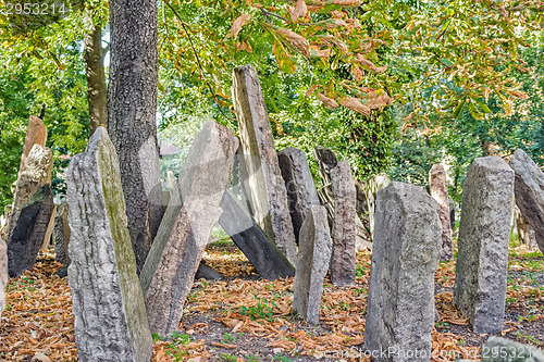 Image of Old Jewish Cemetery in Prague