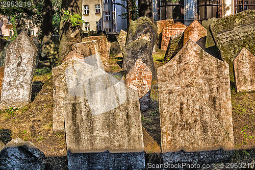 Image of Old Jewish Cemetery in Prague