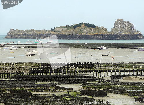 Image of oyster beds at Cancale