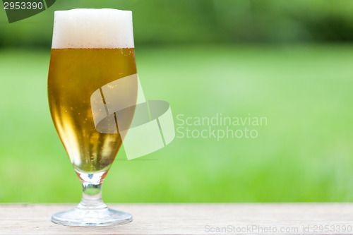 Image of Elegant glass of cold refreshing beer