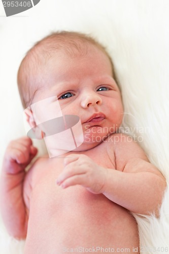 Image of Small baby lying in fur