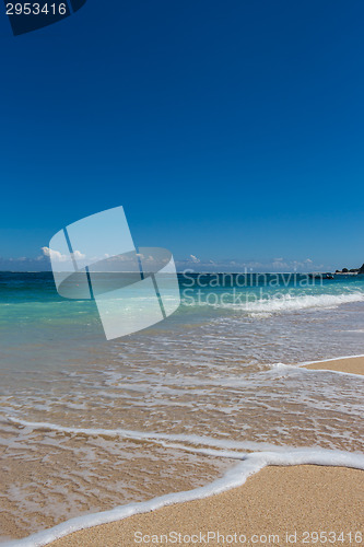 Image of Beautiful tropical beach with lush vegetation