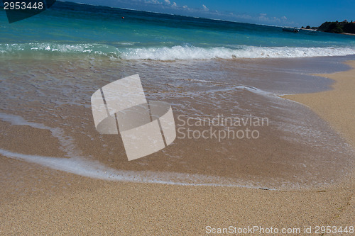 Image of Beautiful tropical beach with lush vegetation