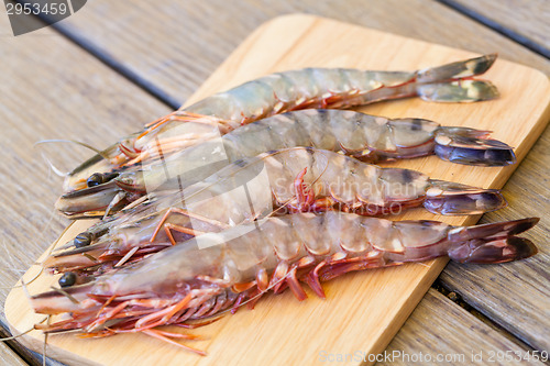 Image of Four fresh whole tiger prawns