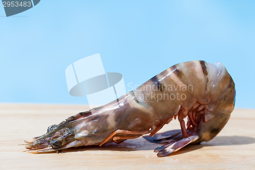 Image of Four fresh whole tiger prawns