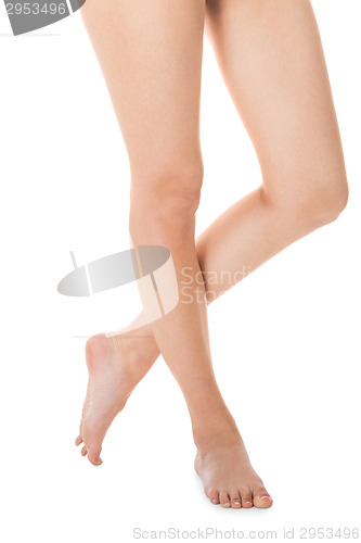 Image of Elegant long bare female legs