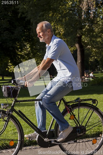 Image of Senior Man Riding Bicycle
