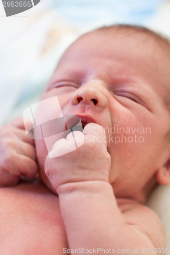 Image of Small baby lying in fur