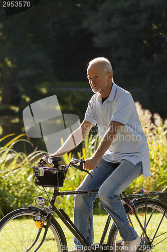 Image of Senior Man Riding Bicycle
