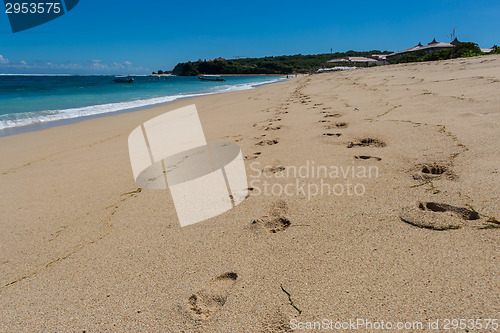 Image of Beautiful tropical beach with lush vegetation