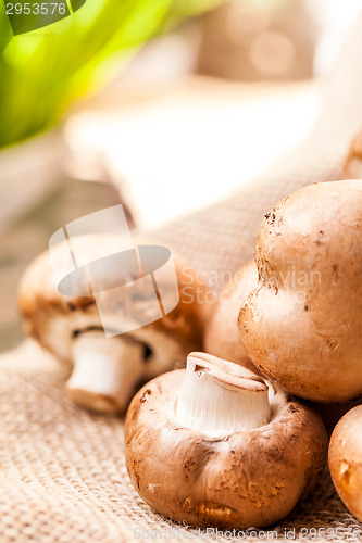 Image of Fresh brown Agaricus mushrooms