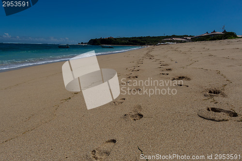 Image of Beautiful tropical beach with lush vegetation