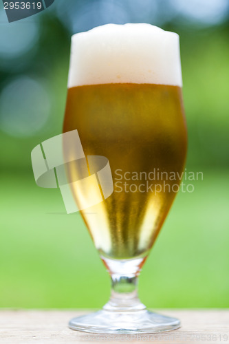 Image of Elegant glass of cold refreshing beer