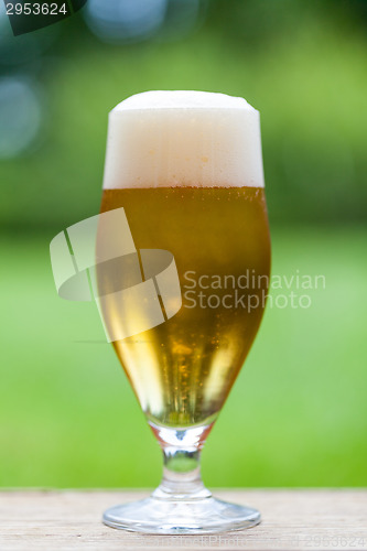 Image of Elegant glass of cold refreshing beer