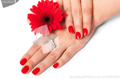 Image of Beautiful hands of an elegant woman