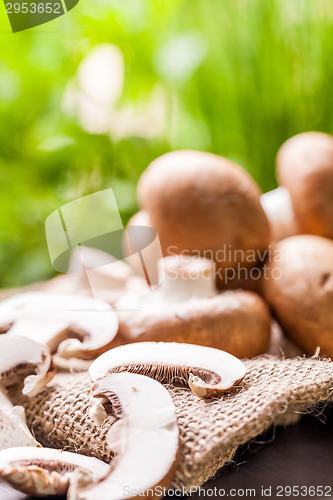 Image of Fresh brown Agaricus mushrooms