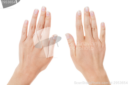 Image of Sensual female hands isolated on white