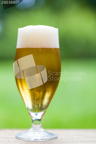 Image of Elegant glass of cold refreshing beer