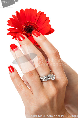 Image of Beautiful hands of an elegant woman