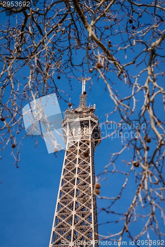 Image of Eiffel Tower in Paris