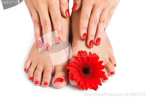 Image of Woman with beautiful red manicured nails