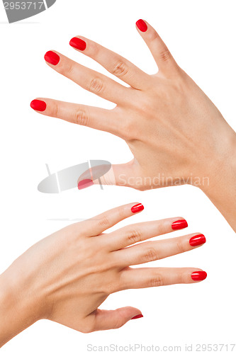 Image of Woman with beautiful manicured red fingernails