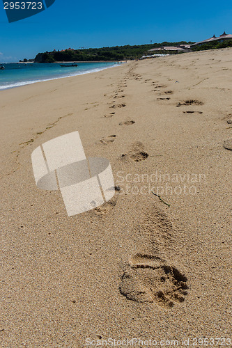 Image of Beautiful tropical beach with lush vegetation