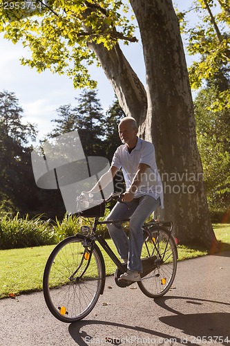 Image of Senior Man Riding Bicycle