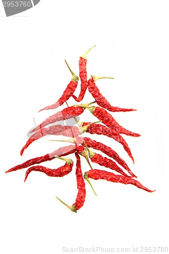 Image of christmas tree from hot spice 