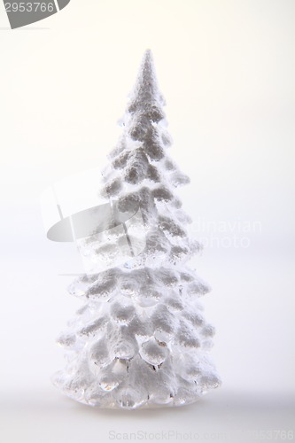 Image of christmas tree from the plastic