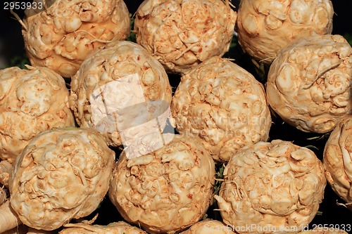 Image of celery background 