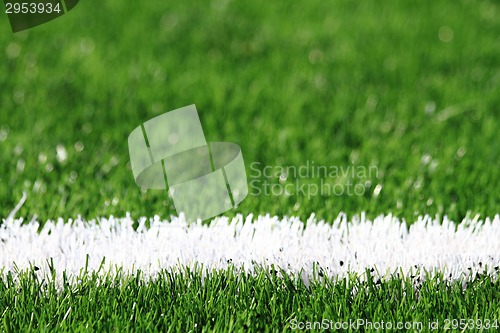 Image of green grass background